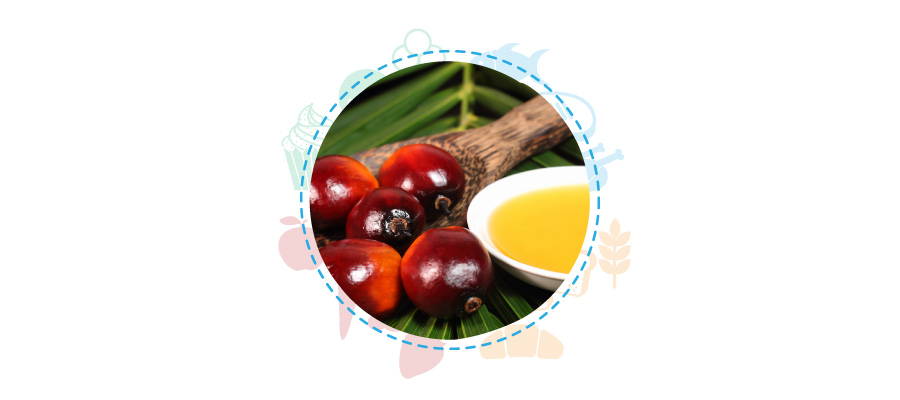 sicurezza alimentare olio palma