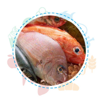 sicurezza alimentare pesce istamina